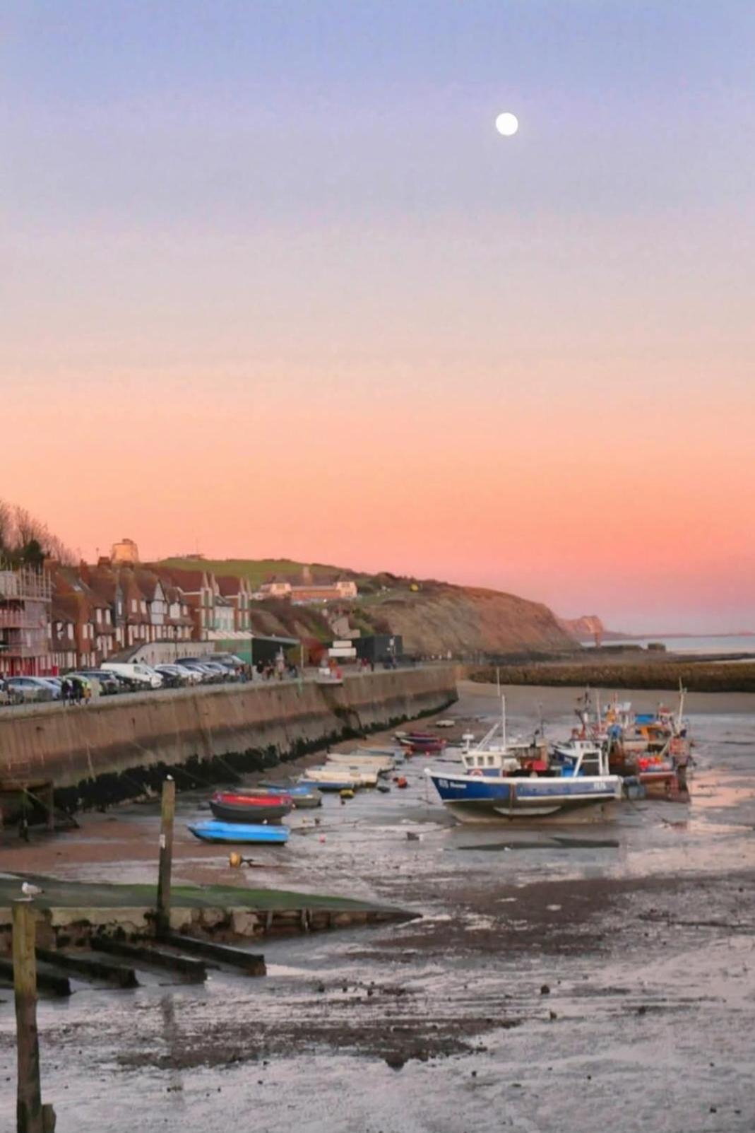 Seaside Retreat In Apartment Folkestone